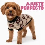 Ropa para mascota camisa para perro GUCCI - BEIGE L - Image 4