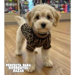 COMBO de 3 Piezas de camisa para mascota Ropa para perro Fendi - (rojo - blanco - Marron) M - Image 8