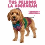 Ropa Para Mascota Chaleco Con Capucha Gucci Ropa Duradera - XS - Image 4