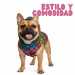 Ropa Para Mascota Chaleco Con Capucha Gucci Ropa Duradera - XS - Image 5