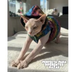 Ropa Para Mascota Chaleco Con Capucha Gucci Ropa Duradera - XS - Image 7