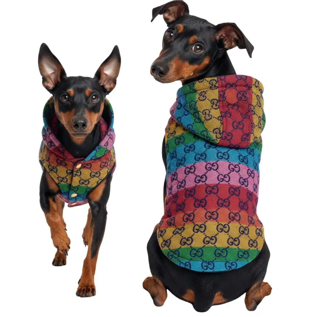 66 Ropa Para Mascota Chaleco Con Capucha Gucci Ropa Duradera - S - Image 1