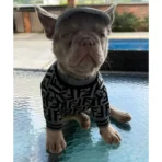 Ropa para mascota camisa para perro Fendi - GRIS L - Image 7