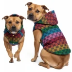 Ropa Para Mascota Chaleco Con Capucha Gucci Ropa Duradera - XL