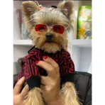 Ropa para mascota camisa para perro Fendi - ROJA L - Image 6