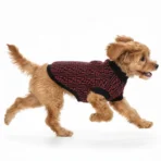 Ropa para mascota camisa para perro Fendi - ROJA L - Image 7