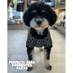 Ropa para mascota camisa para perro Fendi - BLANCA Y NEGRA XL - Image 6